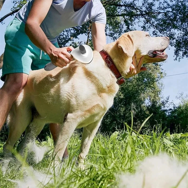 Nexa Self-Cleaning Pet Grooming Brush